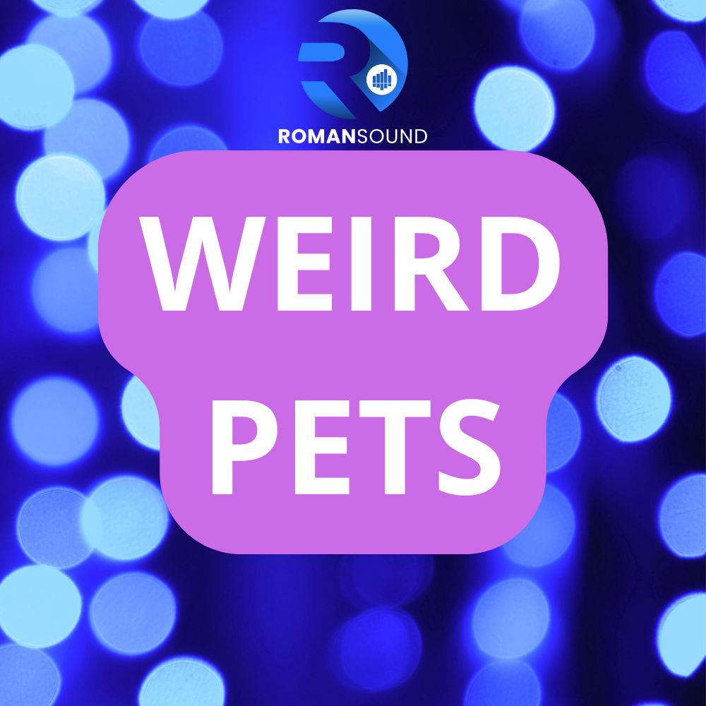 Weird Pets