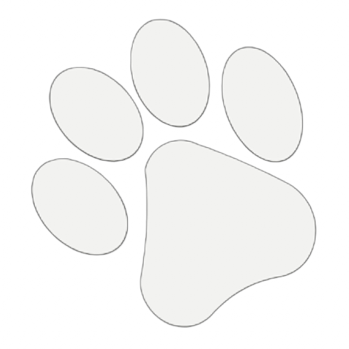 Right paw